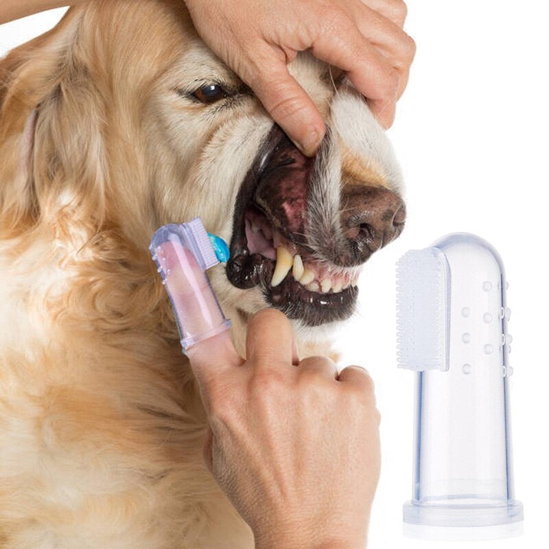 pet product