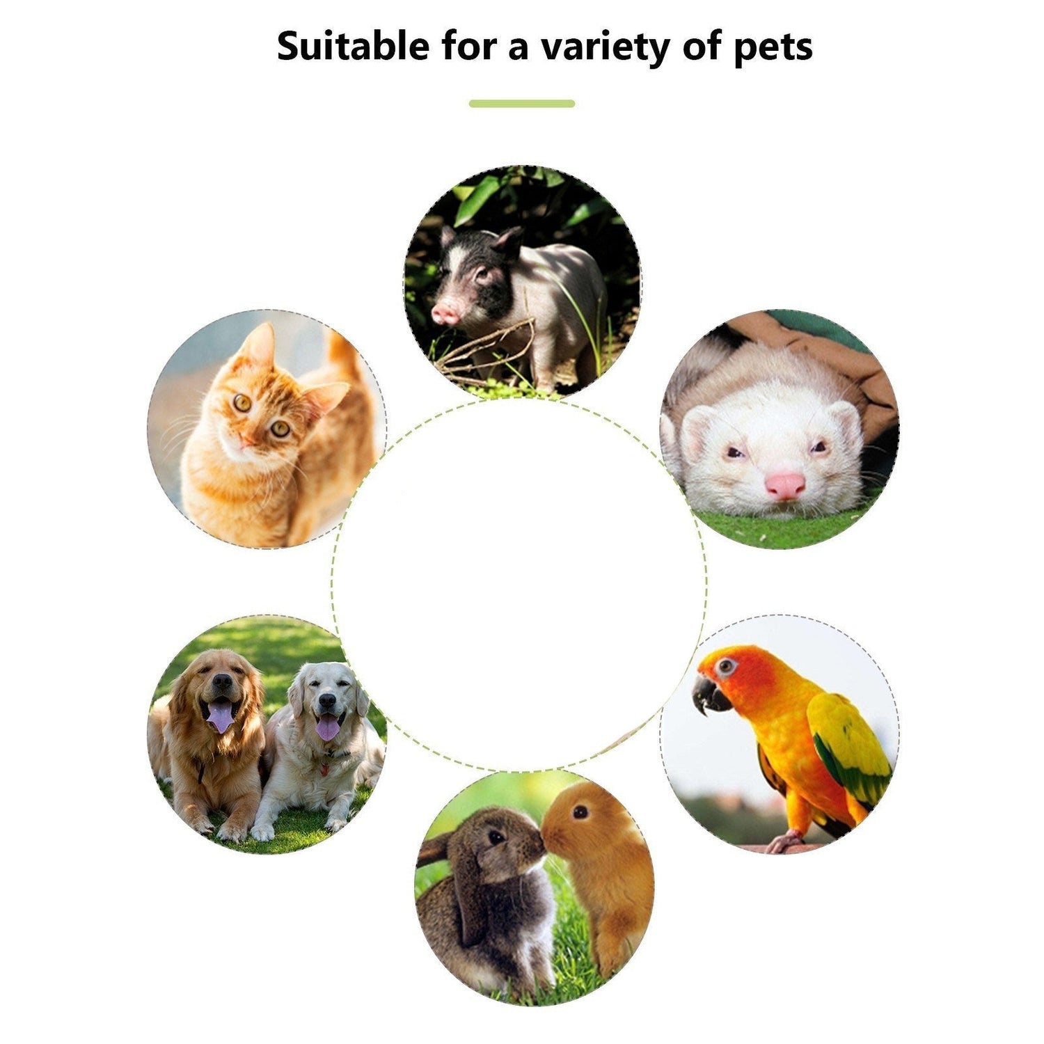 pet product