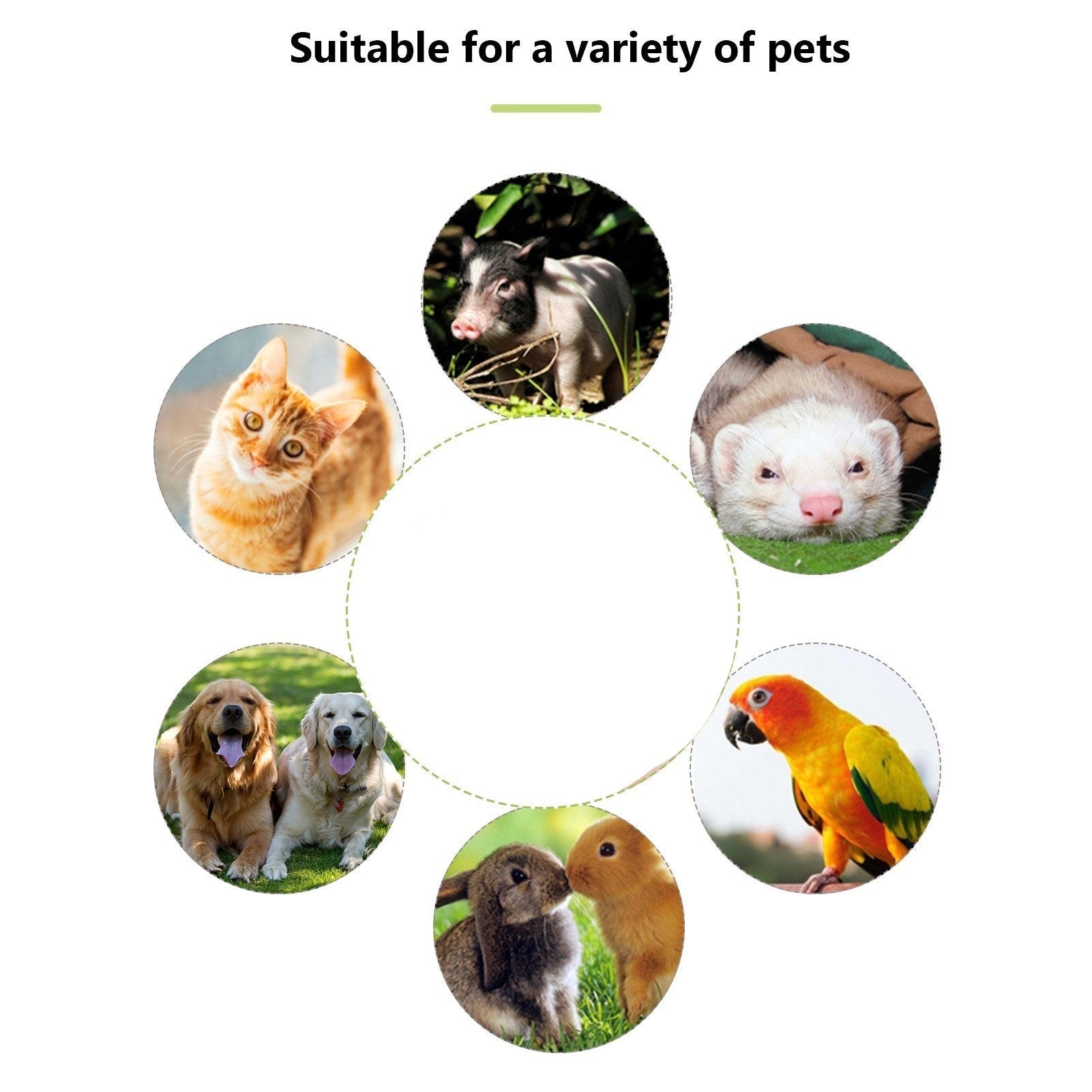 pet product